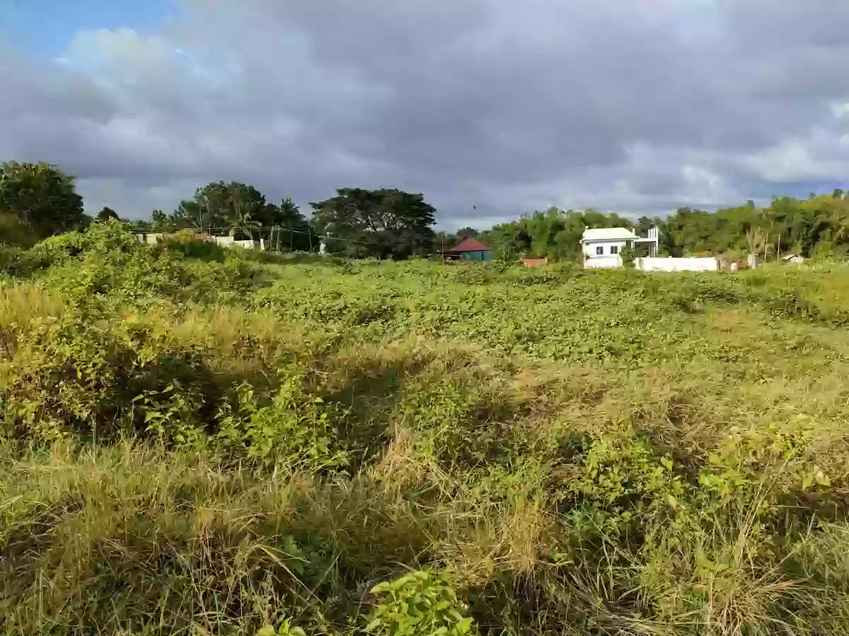 Lot for Sale in Balugo Sibulan — Residential Lot in Sibulan, Negros Oriental, Philippines — Photo 6