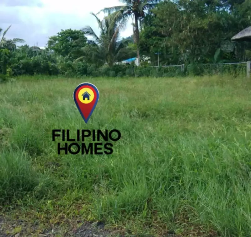 BEACH FRONT WITH MAYON VOLCANO VIEW 1500 SQM — Beach Lot in Albay, Philippines — Photo 2