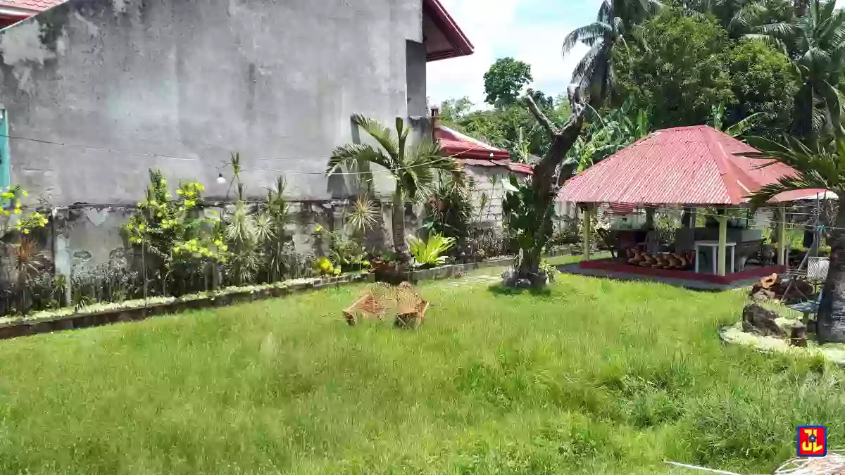 Rush Sale Commercial Property in Tanjay City [available] — Commercial Lot in Negros Oriental, Philippines — Photo 2