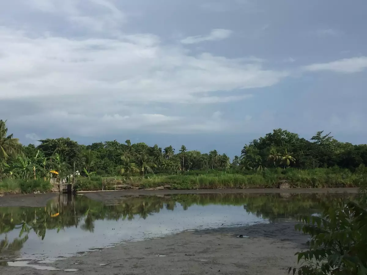 Land For Sale (Pontevedra) — Commercial Lot in Bacolod, Negros Occidental, Philippines — Photo 7