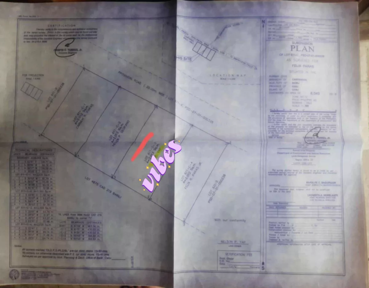 Lot for sale in Campangga Barili Cebu — Agricultural Lot in Barili, Cebu, Philippines — Photo 2