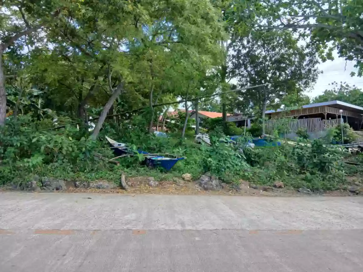 Residential Lot for sale — Residential Lot in San Francisco, Cebu, Philippines — Photo 3
