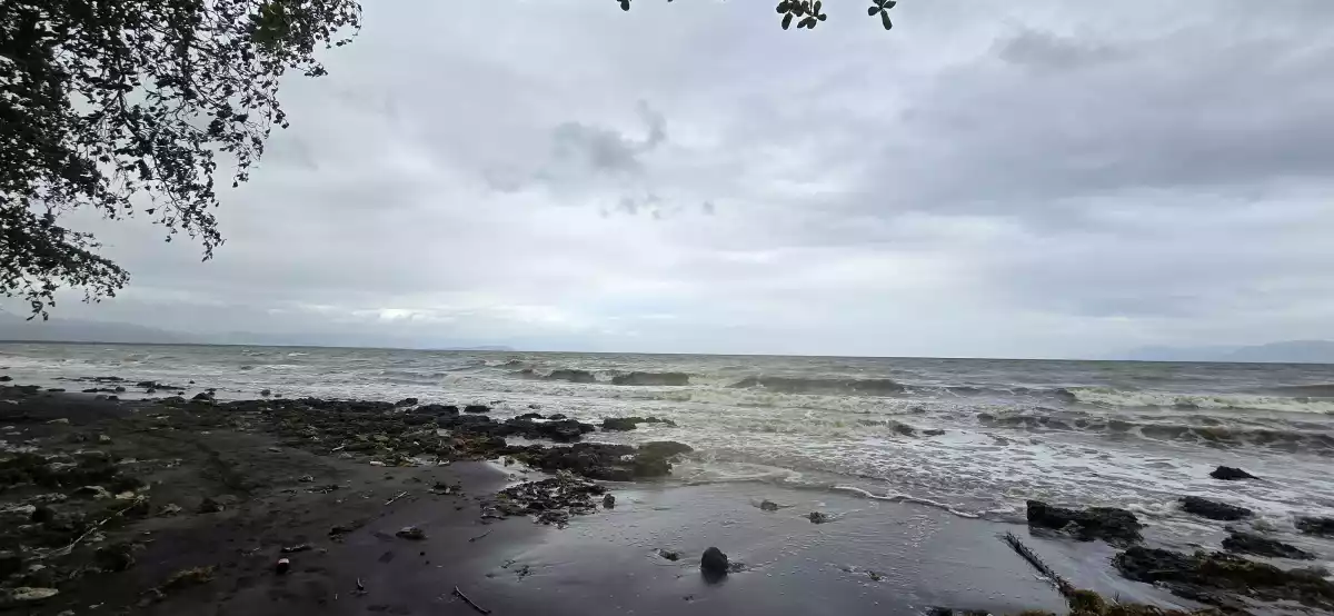 Affordable Beach Lot in Amlan — Beach Lot in Amlan, Negros Oriental, Philippines — Photo 3