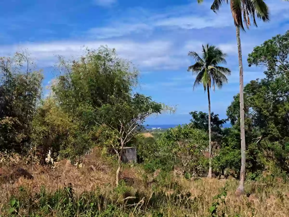 FOR SALE: 1,110 SQM Residential Lot Tierra Alta, Palinpinon, Valencia — Residential Lot in Valencia, Negros Oriental, Philippines — Photo 2