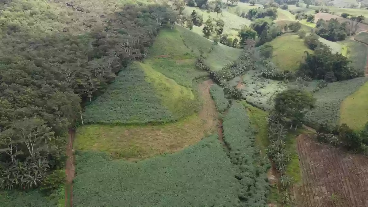 Agricultural Lot in Bukidnon for Sale — Agricultural Lot in Valencia City, Bukidnon, Philippines — Photo 2