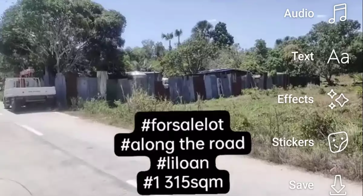Titled FarmLot in Liloan