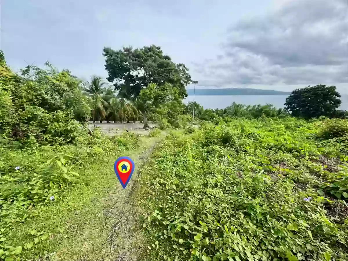 Overlooking Lot For Sale at San Jose, Negros Oriental — Residential Lot in Negros Oriental, Philippines — Photo 2