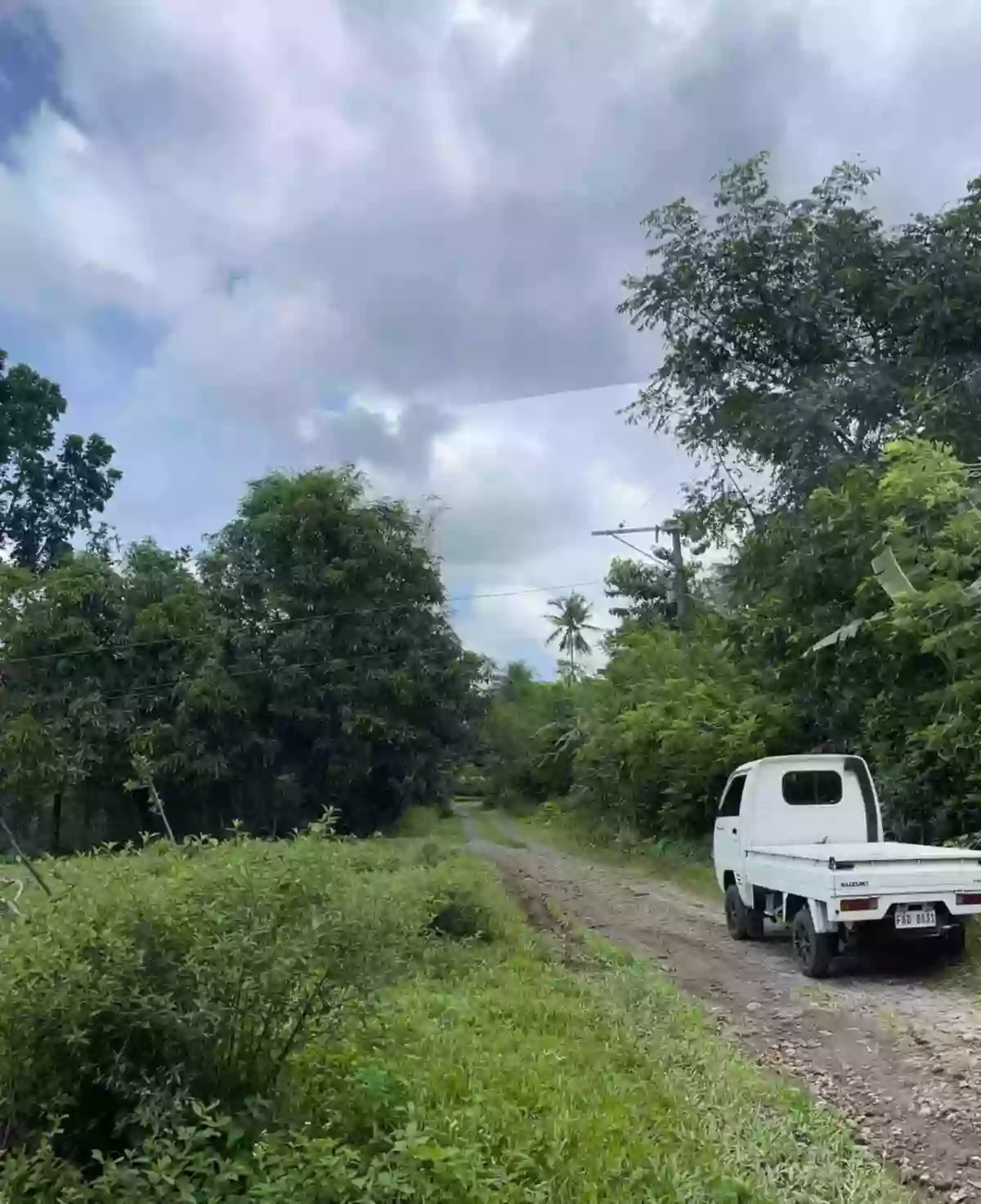 Granada Lot For Sale — Agricultural Lot in Bacolod, Bacolod, Negros Occidental — Photo 5