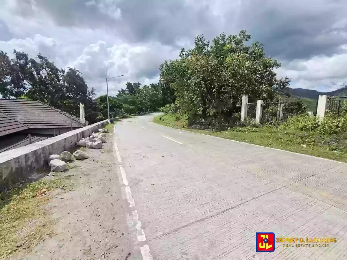 Rush Sale! Amazing Overlooking Lot in Palinpinon, Valencia [available] — Agricultural Lot in Negros Oriental, Philippines — Photo 3