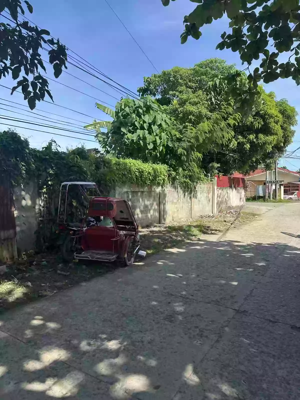 Lot for sakes — Residential Lot in Capiz, Philippines — Photo 5