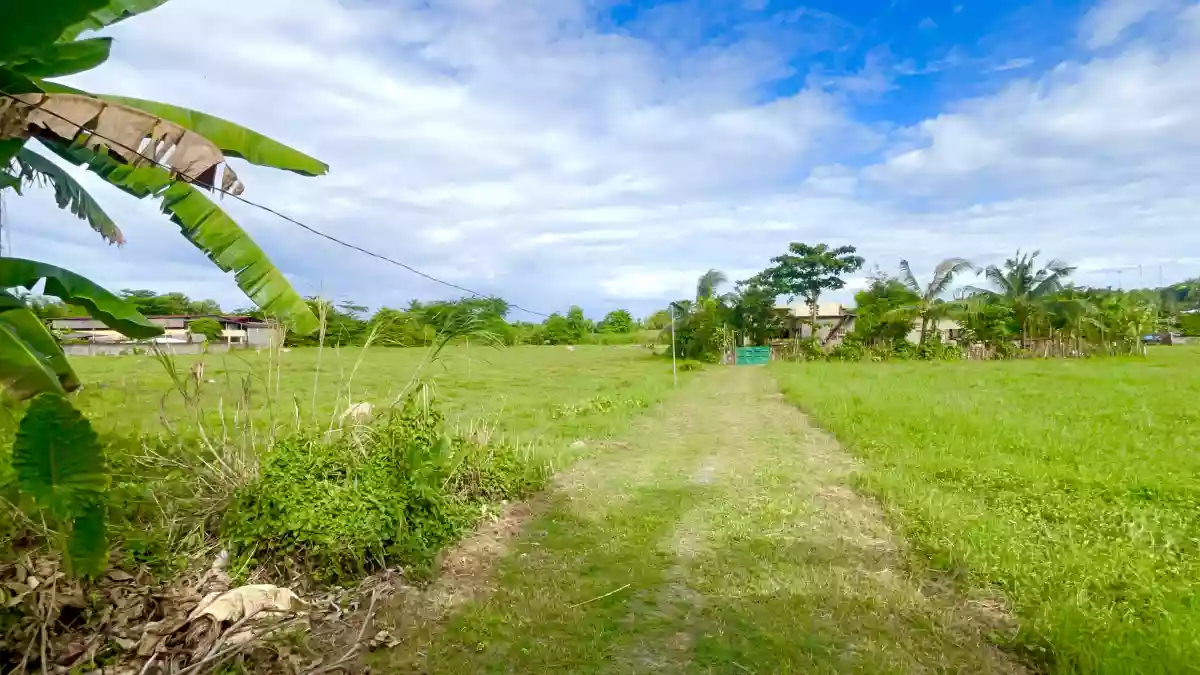 Lot for Sale — Agricultural Lot in Danao City, Cebu, Philippines — Photo 3