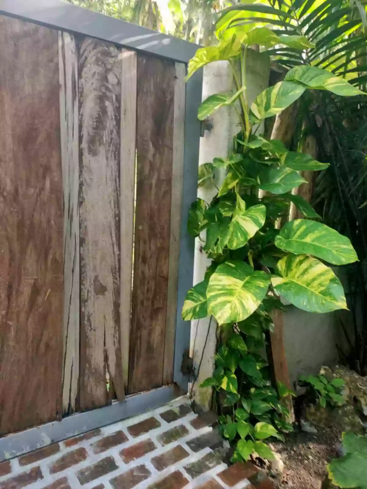 2- Storey Rest House For Sale in Brgy. Tagpopongan, Babak District, Island Garden City of Samal, Davao Del Norte, Philippines — Beach Lot in Island Garden City of Samal, Davao del Norte, Philippines — Photo 3