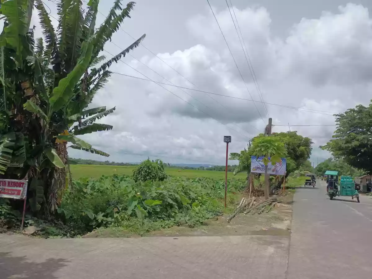 Residential Lot for Sale — Residential Lot in Pili, Camarines Sur, Philippines — Photo 7