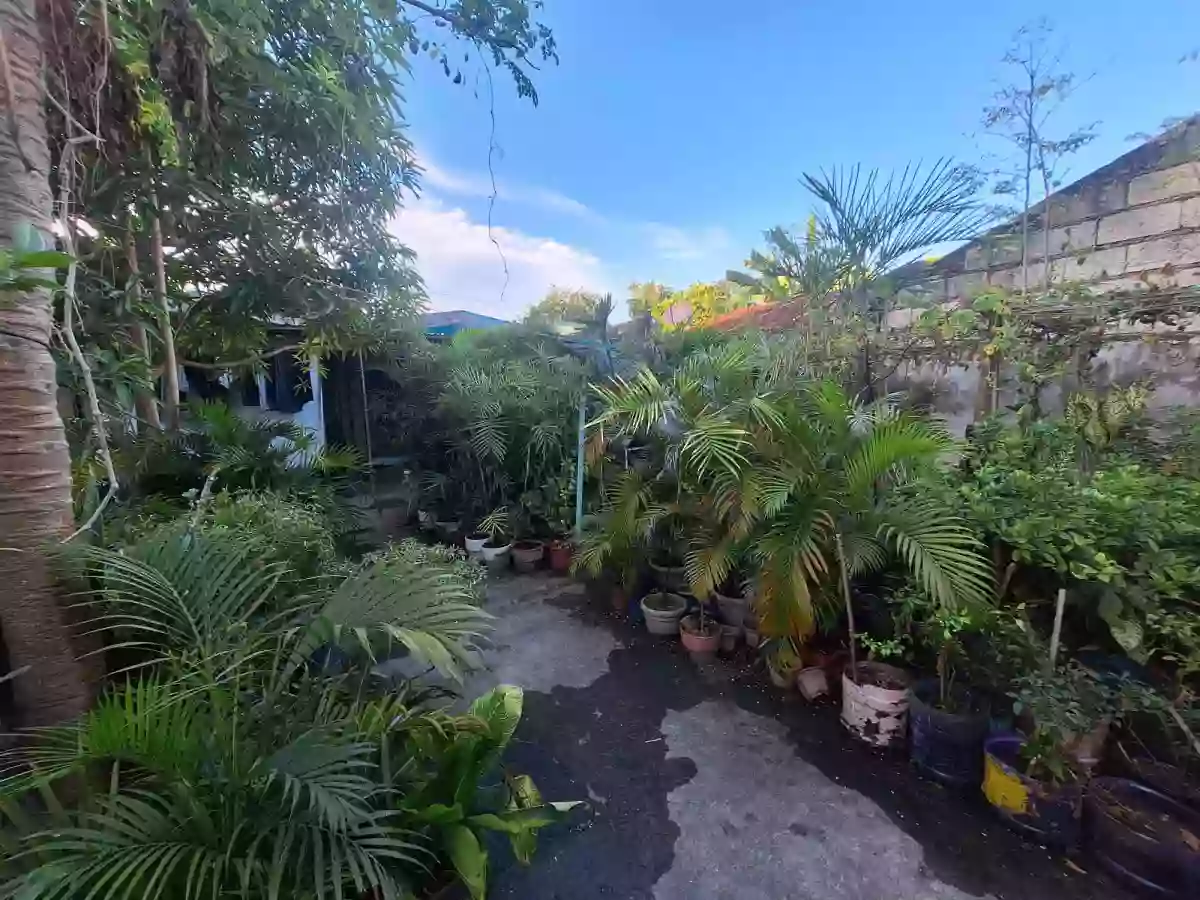 Main House: BUNGALOW WITH 4 BEDROOMS AND 3 DOOR APARTMENT — House and Lot in Carmen, Cebu, Philippines — Photo 6