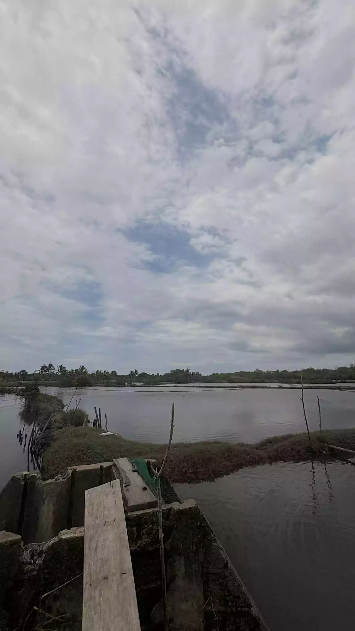 Fish Pool/Pala-Isdaan/Punong — Agricultural Lot in Manapla, Negros Occidental, Philippines — Photo 6