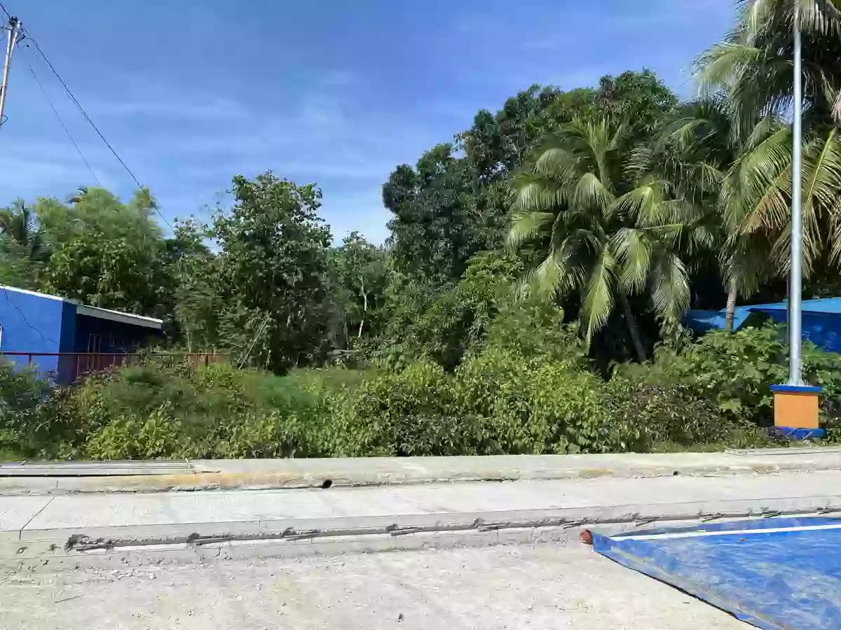 Lot for Sale SanJuan Siquijor