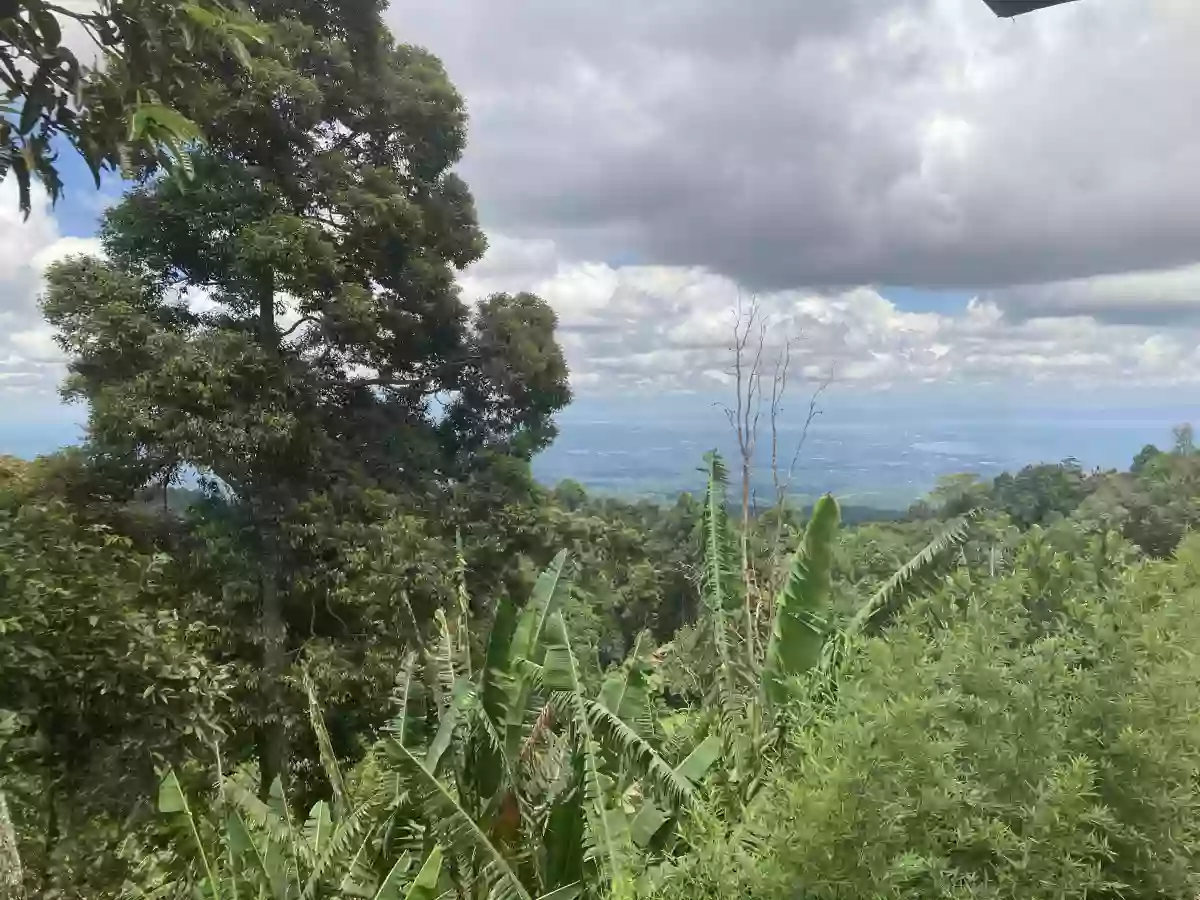 LOT FOR SALE IN SIRAWAN TORIL — Residential Lot in Toril, Davao City, Davao del Sur — Photo 4