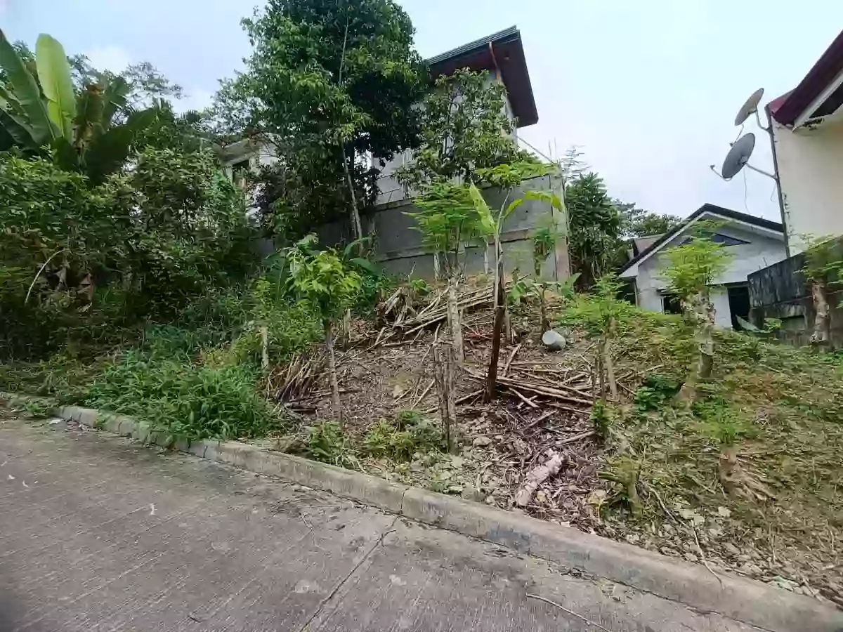 Residential Lot for Sale — Residential Lot in Cebu City, Cebu, Philippines — Photo 2