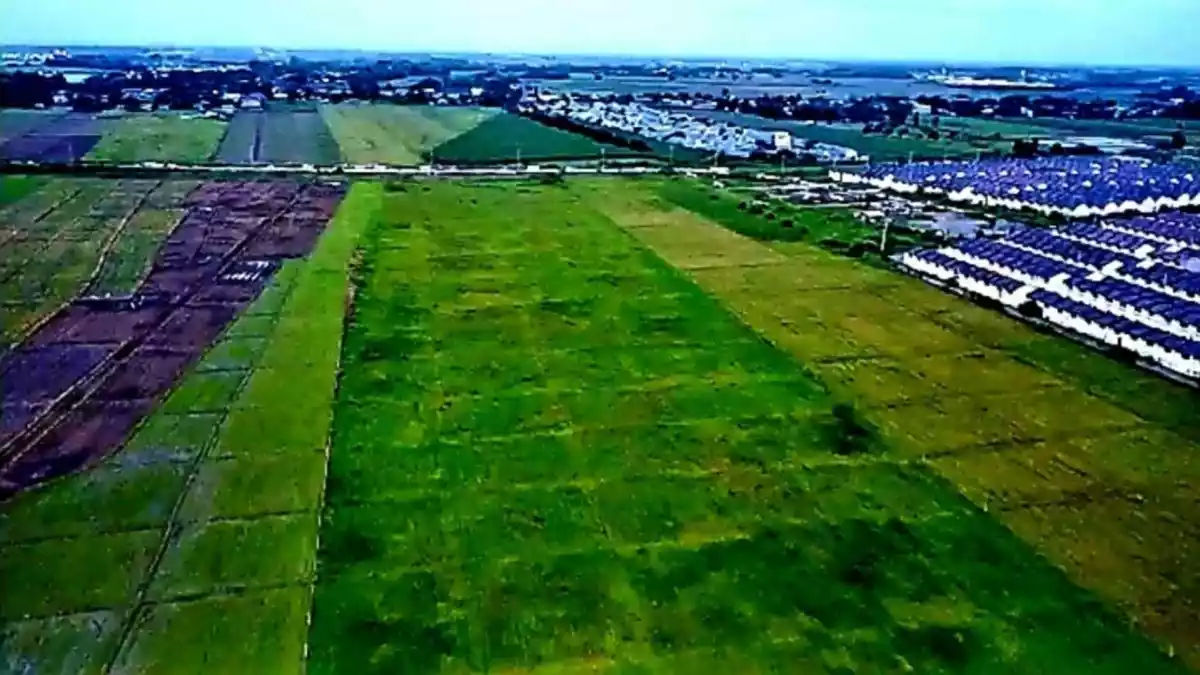 Lot For Subdivided