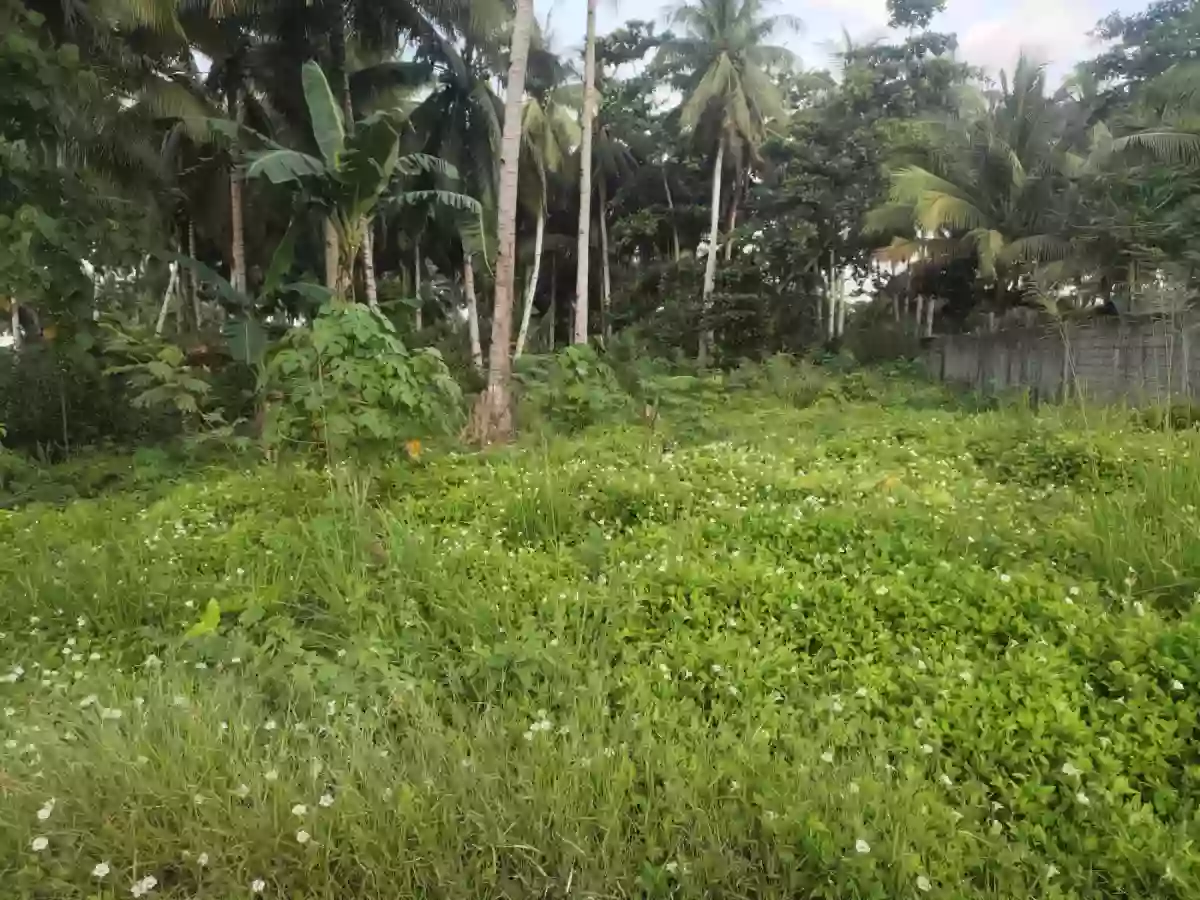 Residential Lot on Nursery Road Back of VSM Premier and Altafina — Residential Lot in General Santos City, South Cotabato, Philippines — Photo 4