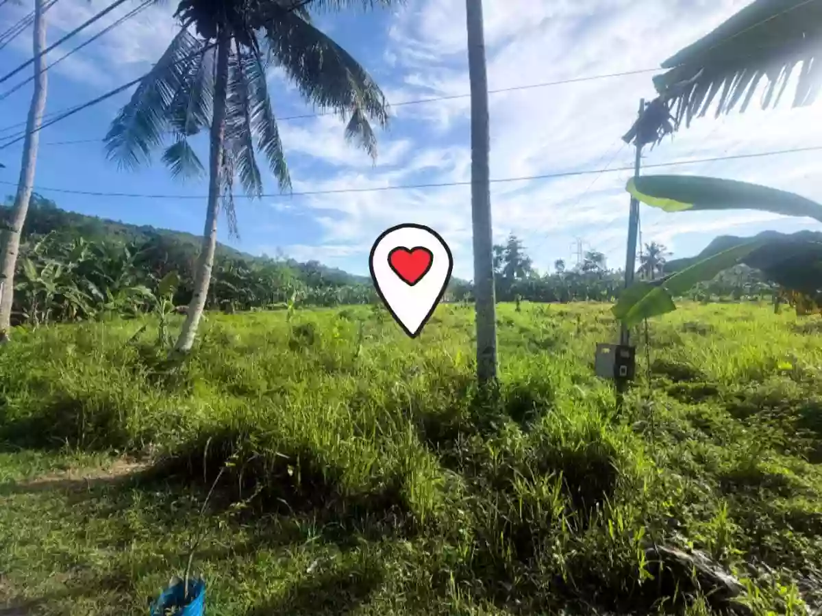 Titled Lot in Barili, Cebu — Industrial Lot in Barili, Cebu, Philippines — Photo 3
