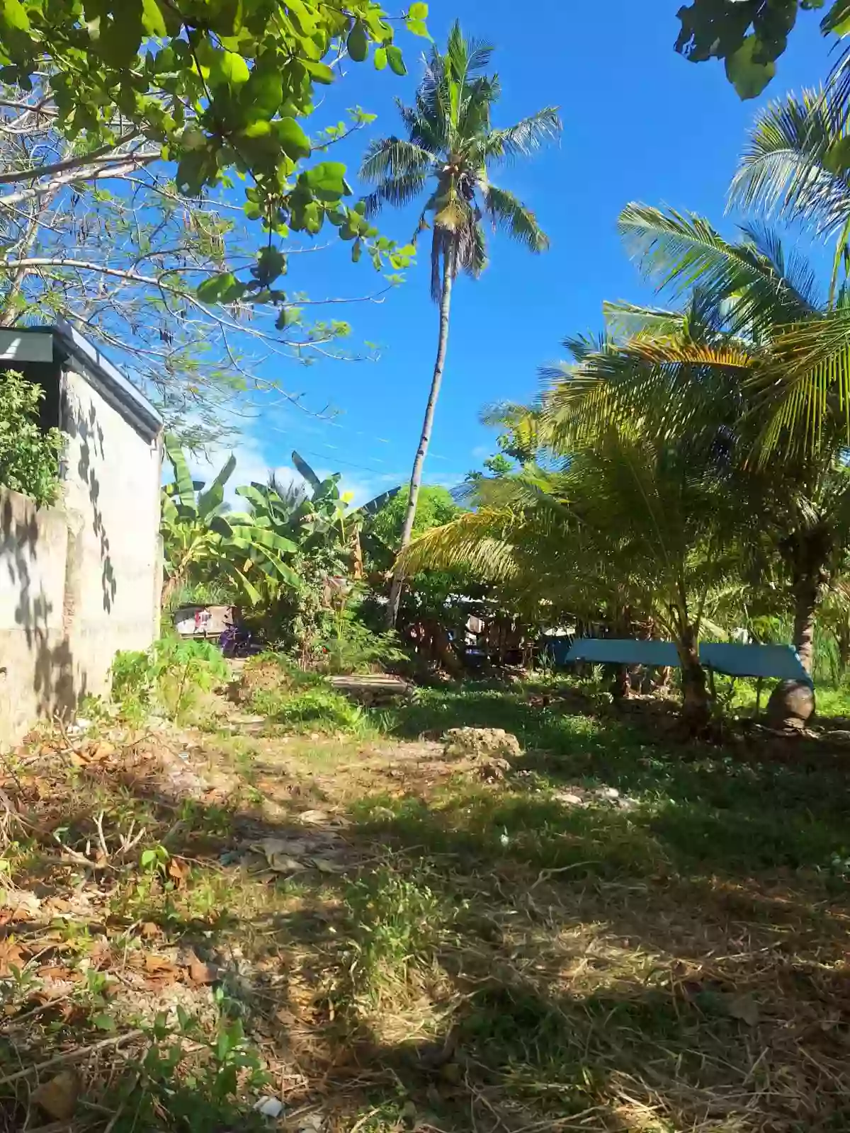 Lot only for SALE — Agricultural Lot in Carmen, Cebu, Philippines — Photo 2