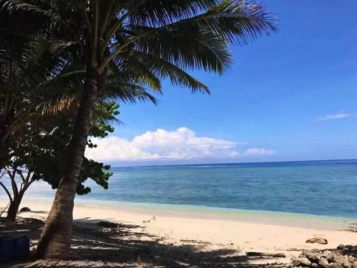 332sqm 3 Residential Beach Lot in Glan Sarangani (112+120+100=332sqm) Adjacent! — Beach Lot in Glan, Sarangani, Philippines — Photo 5