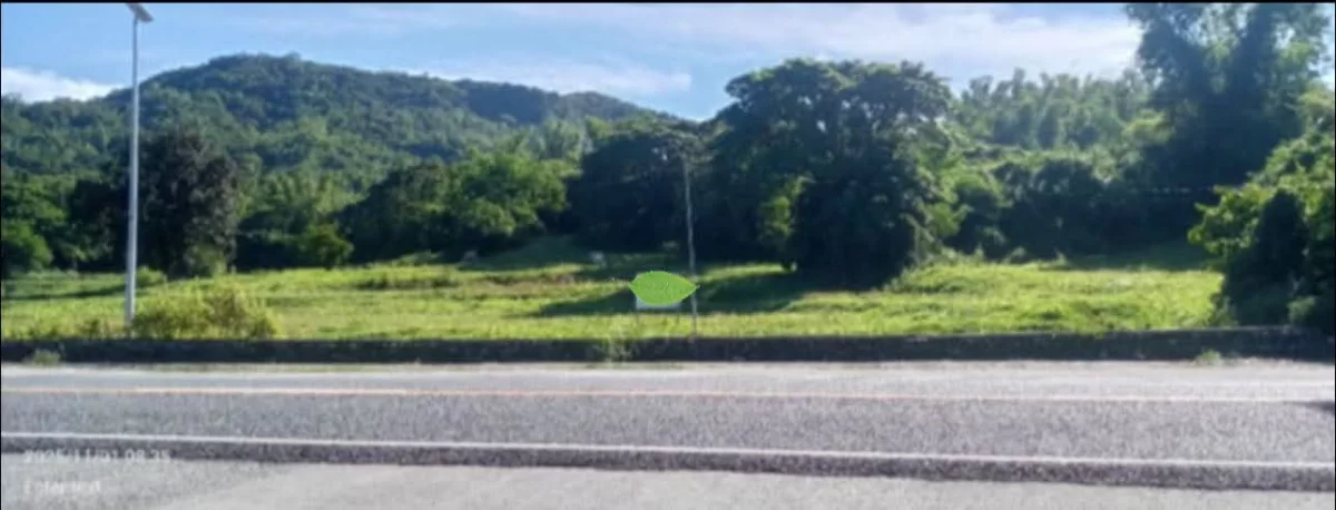 2Has lot at Santiago, Ilocos Sur