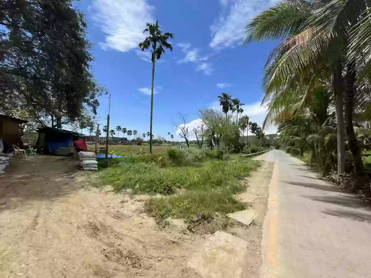 1.7 Hectare Agricultural Lot for Sale [TAX DEC] — Agricultural Lot in Liloan, Cebu, Philippines — Photo 4