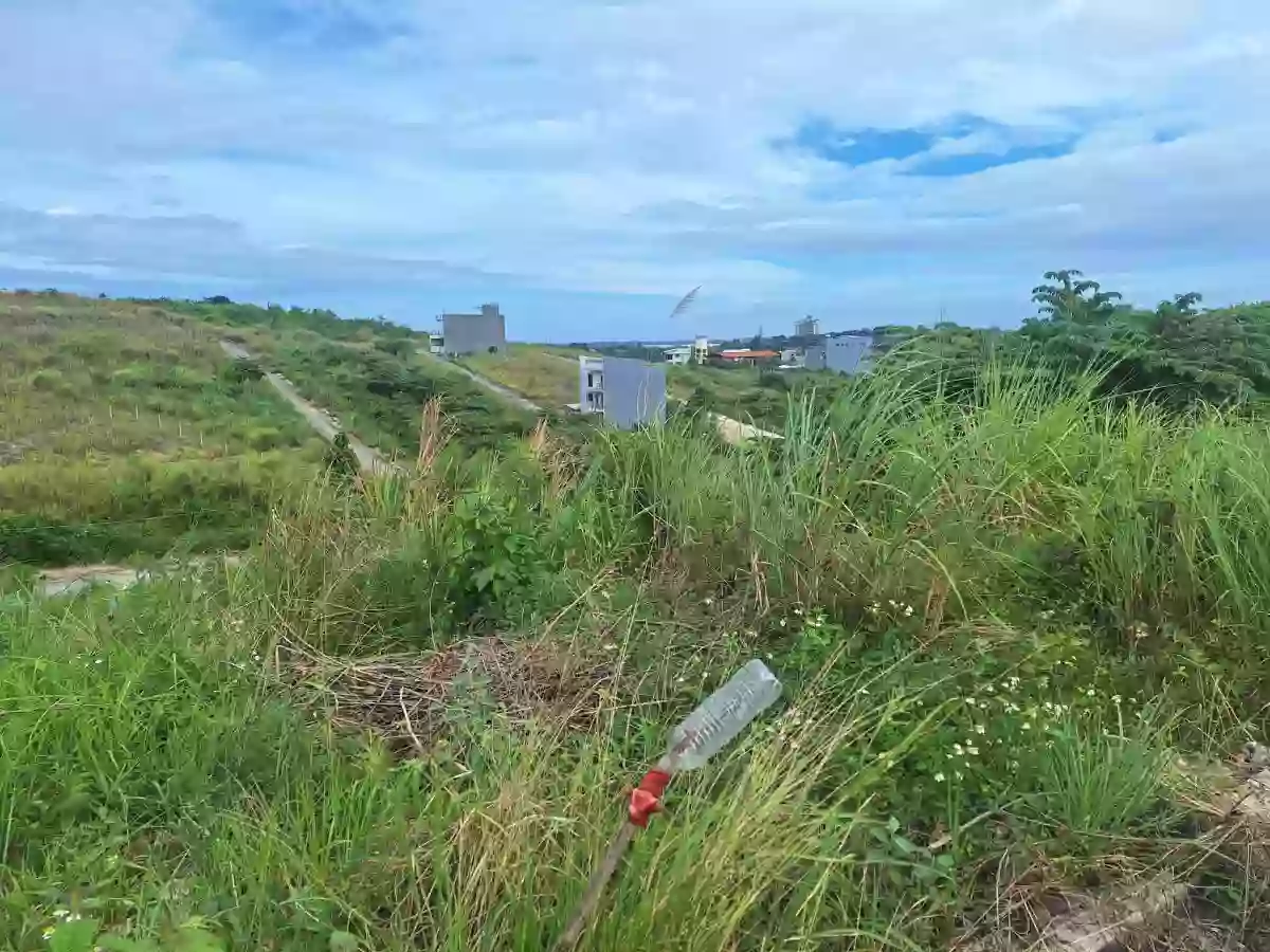 El Monte Grande Heights Lot Only — Residential Lot in Liloan, Cebu, Philippines — Photo 2