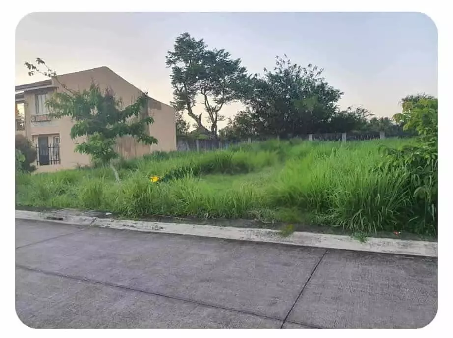 Lot For Sale in Camella heights subdivision