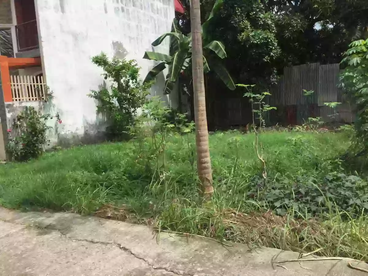 Residential Lot for Sale — Residential Lot in Cebu, Philippines — Photo 3