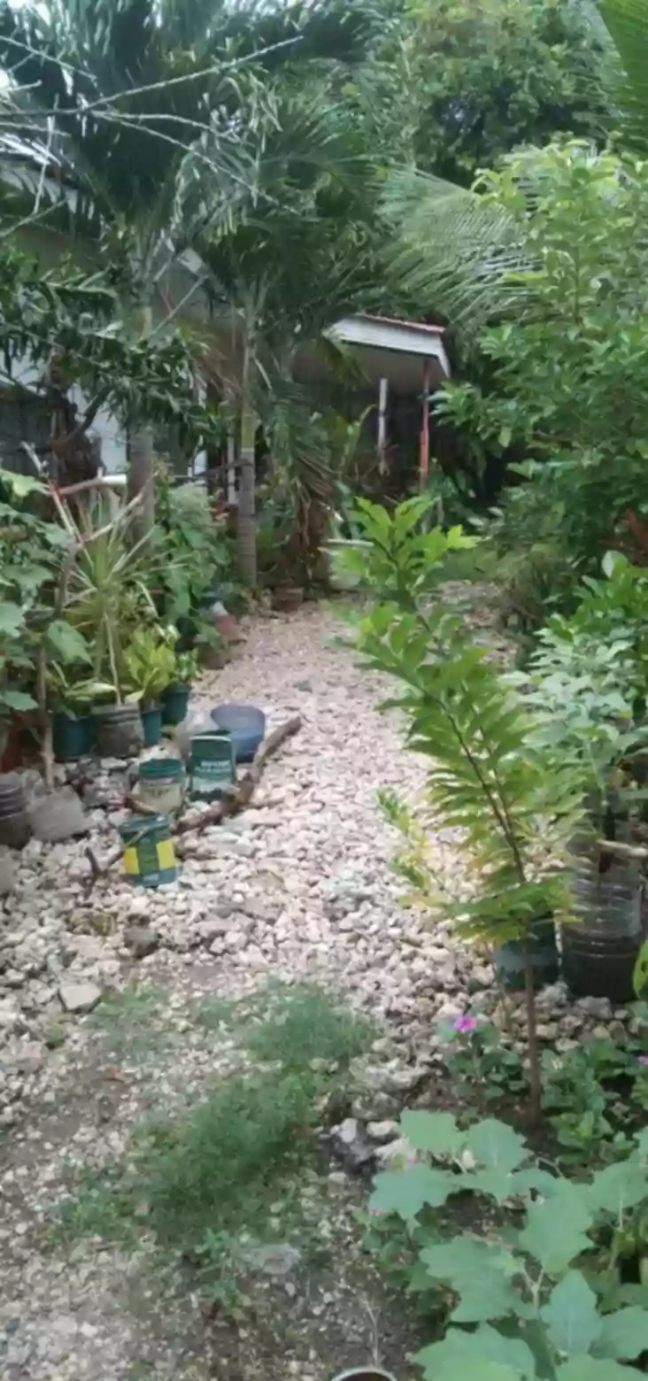 Open photo 11 of 11 — Income Generating Property for SALE!!!