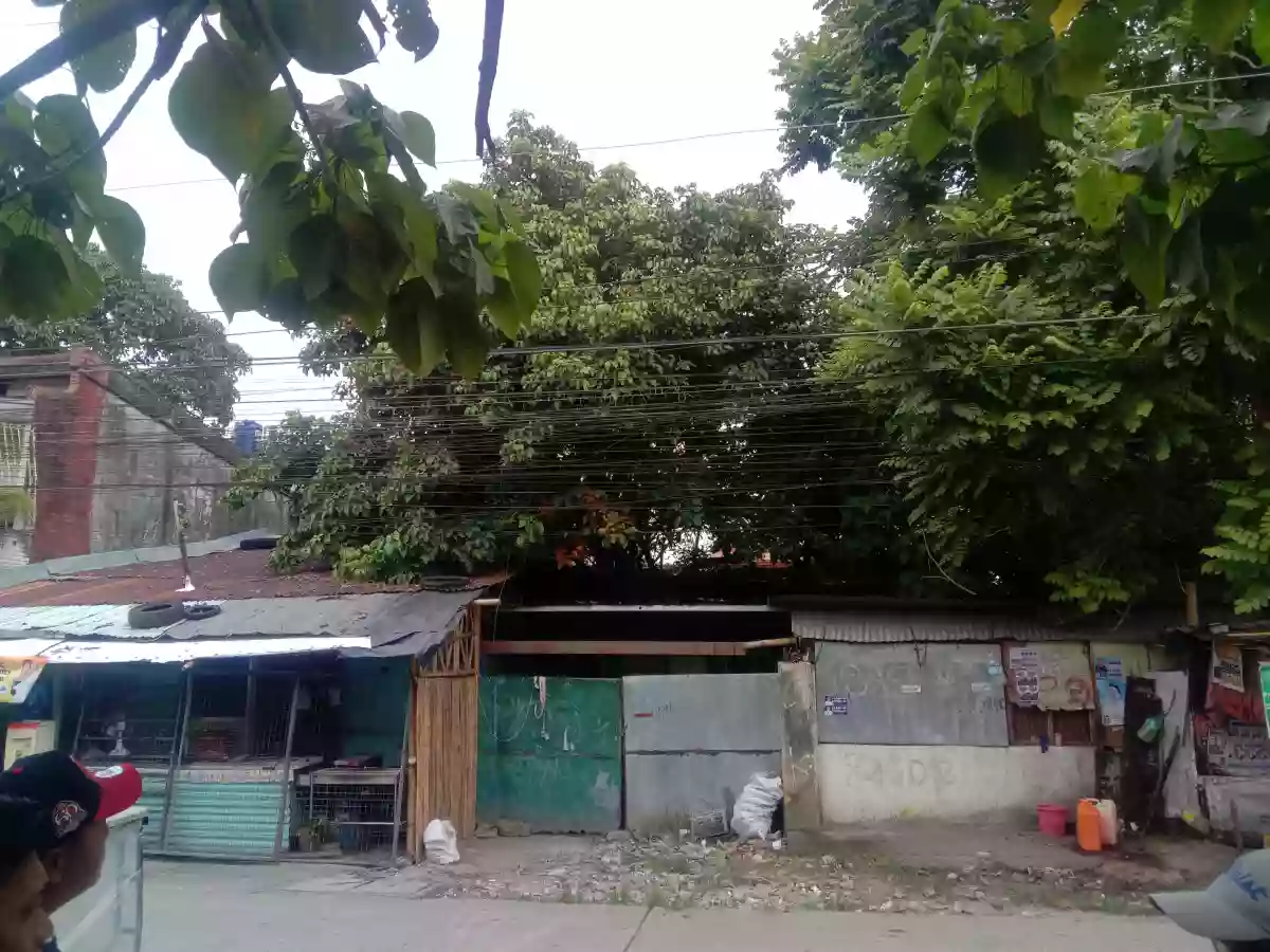T-109414 — Commercial Lot in Lirio St., Brgy. 33, Bacolod city — Photo 2