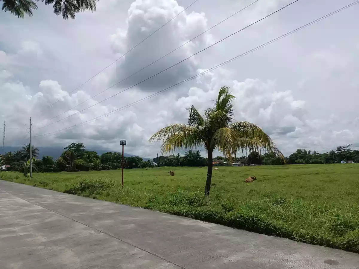 Residential Lot for Sale — Residential Lot in Pili, Camarines Sur, Philippines — Photo 5