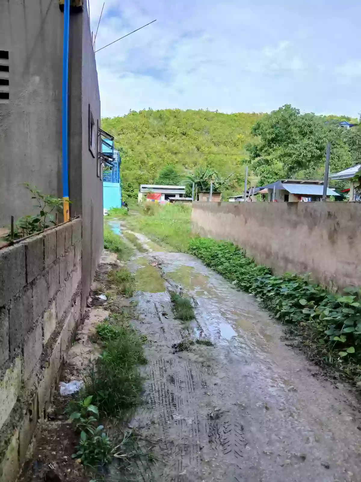 Residential Lot For Sale — Residential Lot in Sabang Danao City, Danao City, Cebu — Photo 5