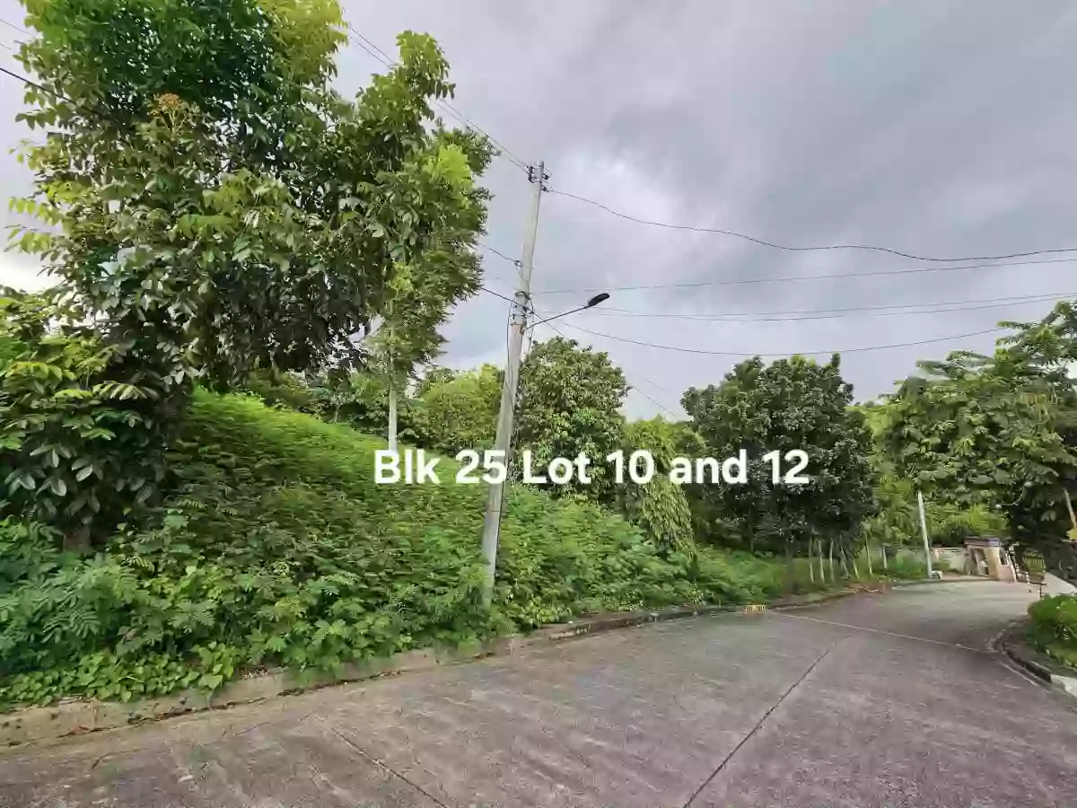 ROYALE Cebu Estate in Casili Consolacion Cebu-For as low as P30,000 per sqm. — Residential Lot in Consolacion, Cebu, Philippines — Photo 3