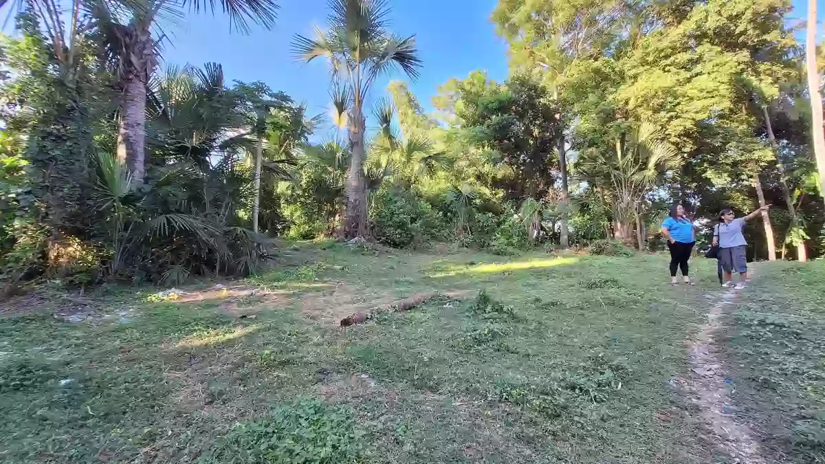 LOT ONLY FOR SALE in Jubay Liloan Cebu — Agricultural Lot in Liloan, Cebu, Philippines — Photo 5