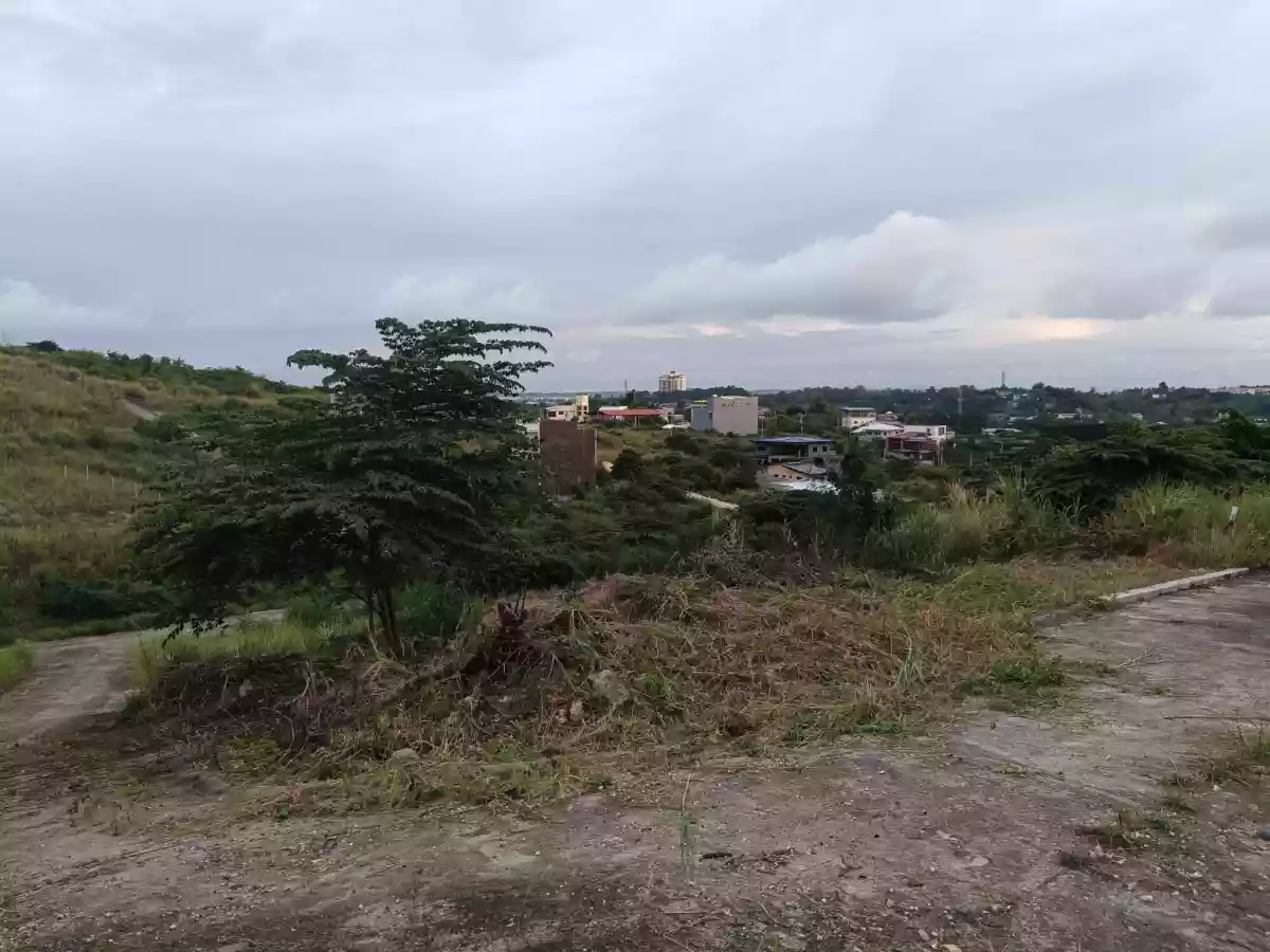 230sqm Residential Lot for Sale in Liloan — Residential Lot in Liloan, Cebu, Philippines — Photo 3