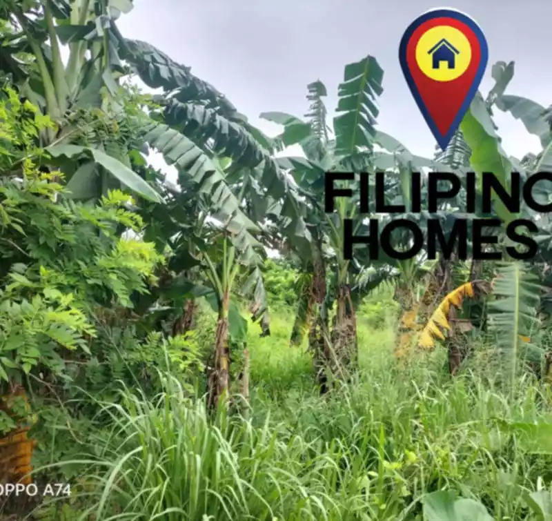 513 SQM RESIDENTIAL LOT FOR SALE — Residential Lot in Naga City, Camarines Sur, Philippines — Photo 3