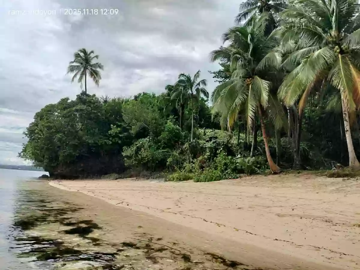 Beach Property in Hinatuan, Surigao. — Beach Lot in Surigao del Sur, Philippines — Photo 6