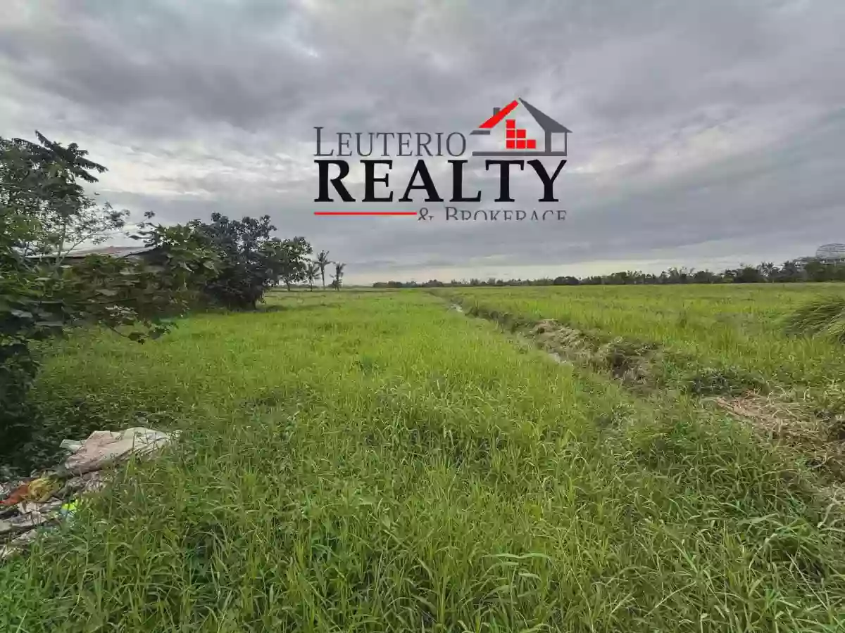 Lot For Sale in Pili CamSur!