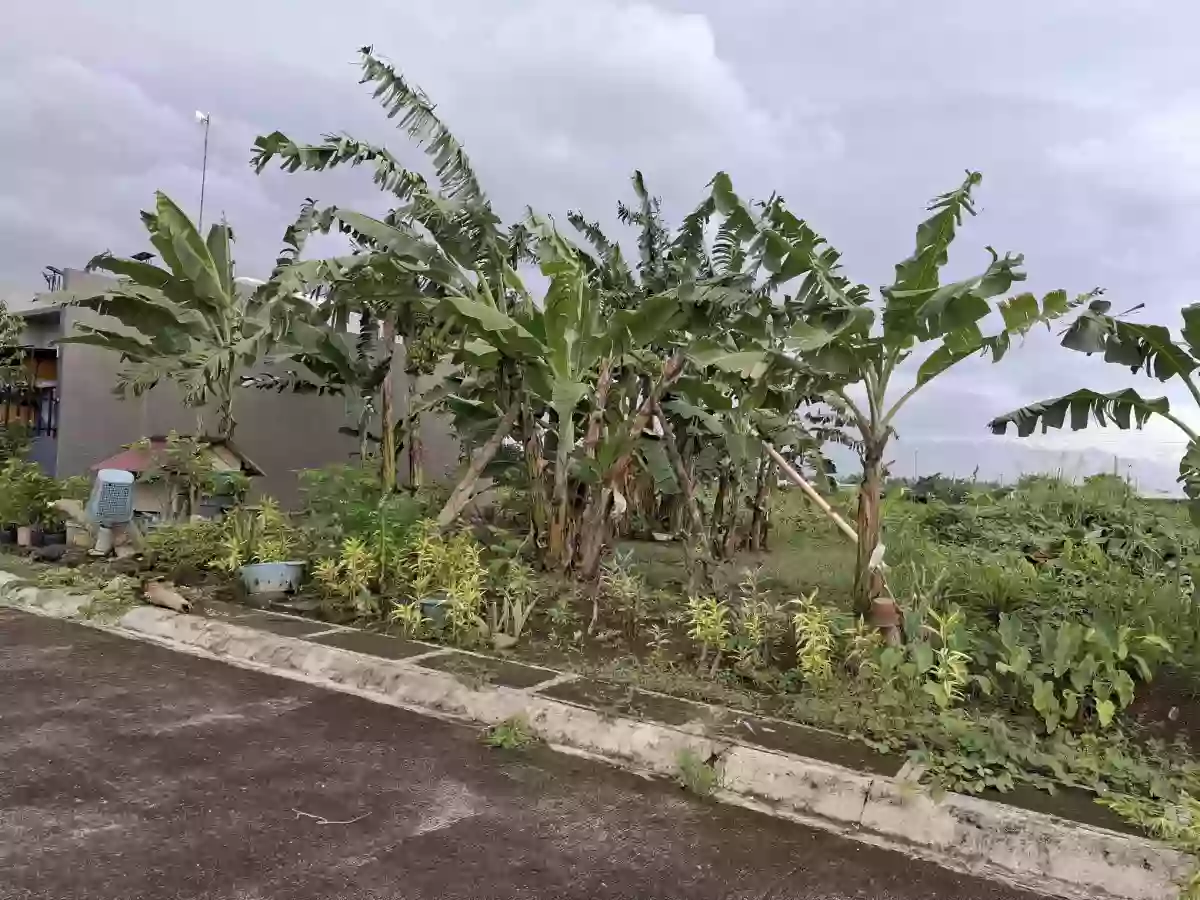 Lot for Sale