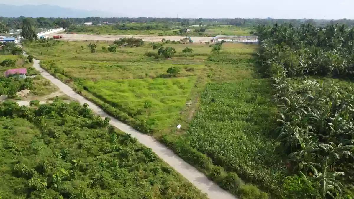 Prime Development Opportunity: 3 Hectares of Land for Sale in Tagum City, Davao Del Norte — Industrial Lot in Davao del Norte, Philippines — Photo 6