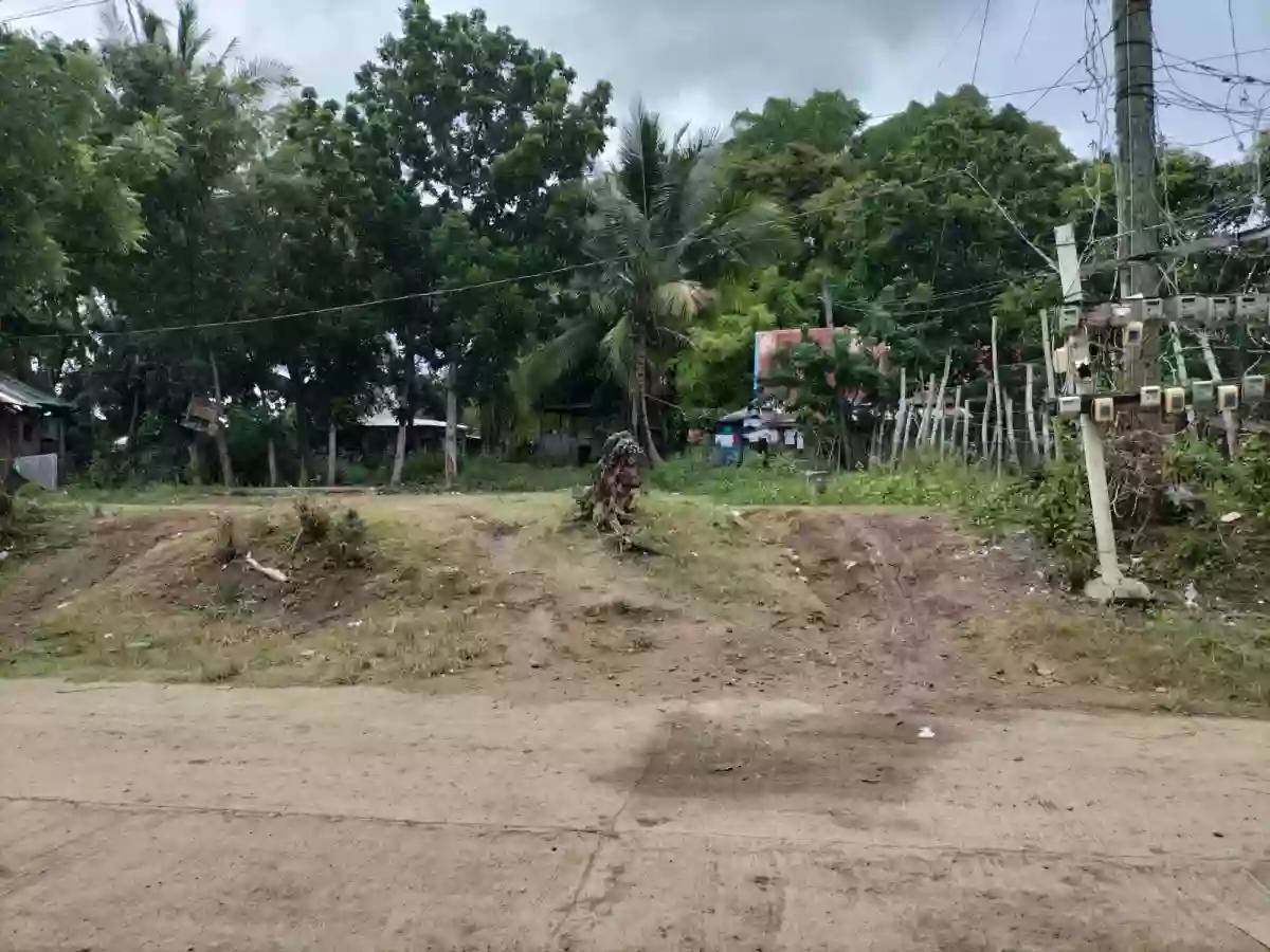 RUSH LOT FOR SALE — Residential Lot in Amlan, Negros Oriental, Philippines — Photo 3