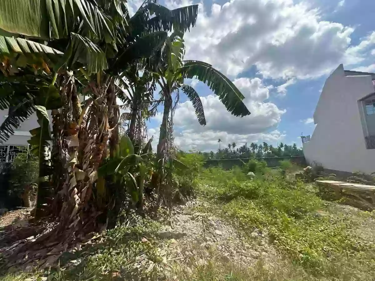 Lot For Sale in Corona del Mar — Residential Lot in Talisay, Cebu, Philippines — Photo 3