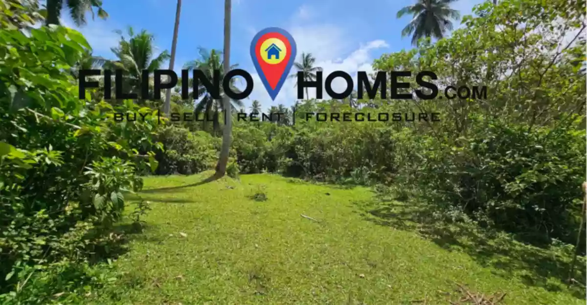 Lot for Sale with  300 meters of road frontage along the national road — Agricultural Lot in Albay, Philippines — Photo 2
