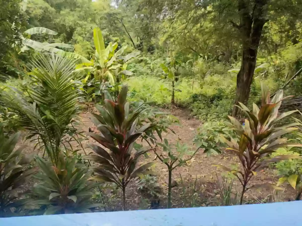 Overlooking Lot For Sale in Bahia,Dewey Island,Capiñahan, Bais City — Agricultural Lot in Bais City, Negros Oriental, Philippines — Photo 3