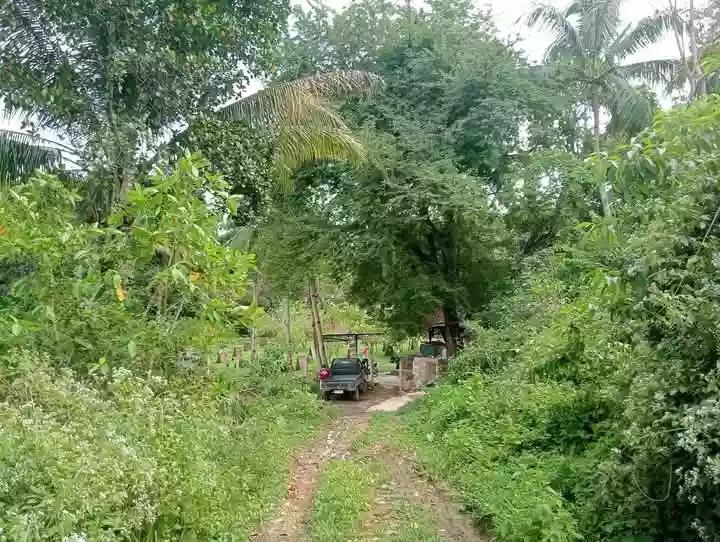 Farm Lot For Sale at Danao City — Residential Lot in Danao City, Cebu, Philippines — Photo 4