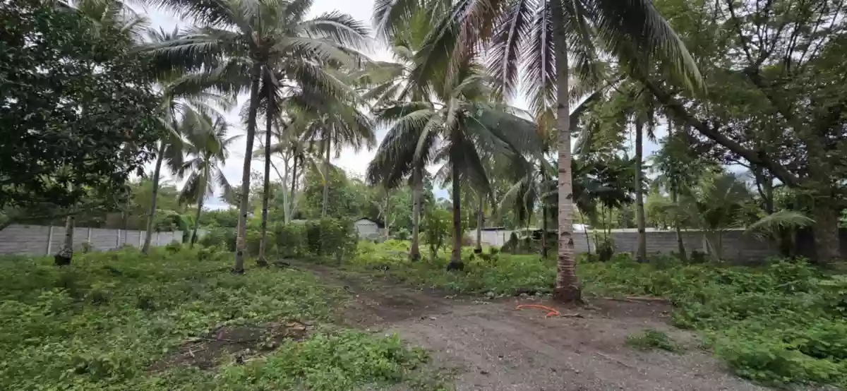 3,000 sqm Lot in Conel near Diversion Road, General Santos City — Residential Lot in general santos city — Photo 2